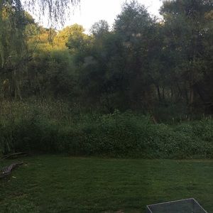 Meet your Posher, Maureen